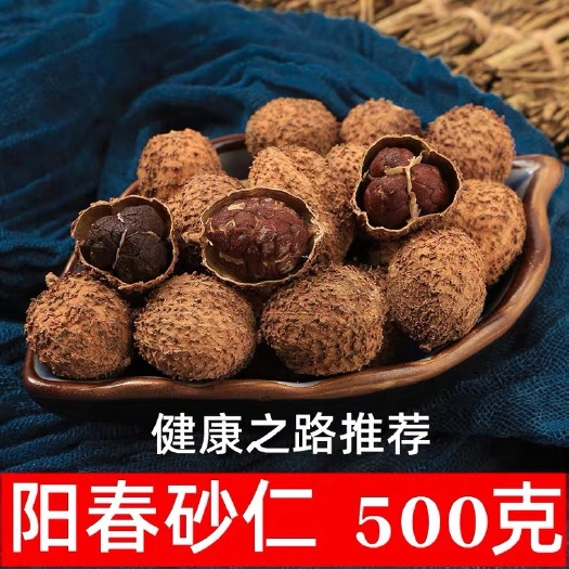 春砂仁 广东阳春砂仁 特大果 今年新货 颗粒饱满
