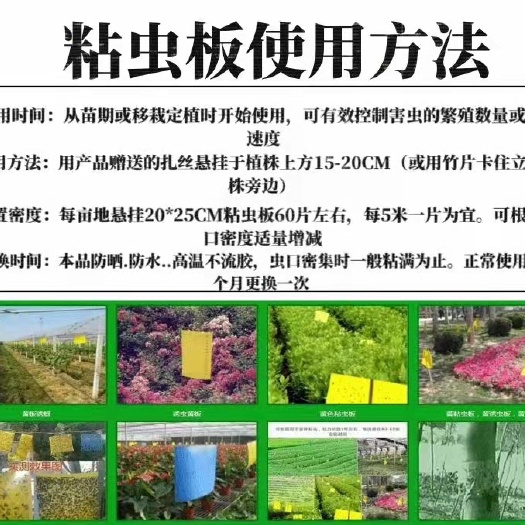 粘虫板蓝色的粘蓟马 黄色粘飞虫茶园花卉果园果蝇针蜂诱虫板粘虫