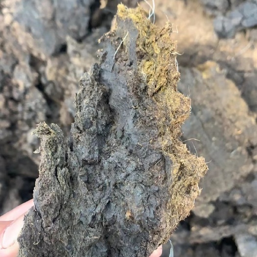 四川发酵羊粪高腐植酸有机质不烧根不烧苗自然发酵两年以上