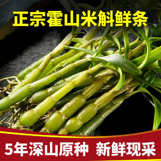 霍山县正品石斛米斛鲜条龙头凤尾鲜条现采摘新鲜米斛鲜条5年生批发