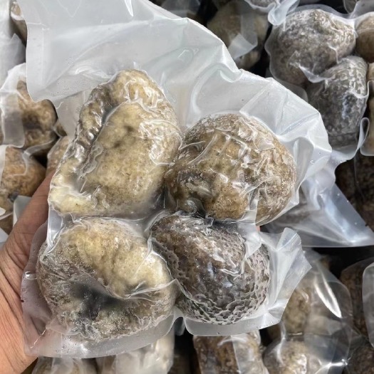 广州球参海参