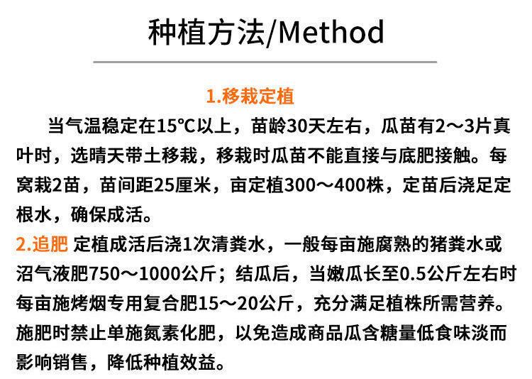 早熟高产蜜本南瓜种子超甜粉面早栗甜南瓜耐贮运四季大田蔬菜种籽