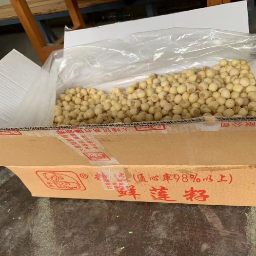 一年四季出售江西去皮去心的新鲜莲子，味道鲜甜、儒，糯冬季补品