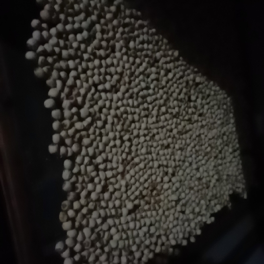 南丰县自种自销白花莲