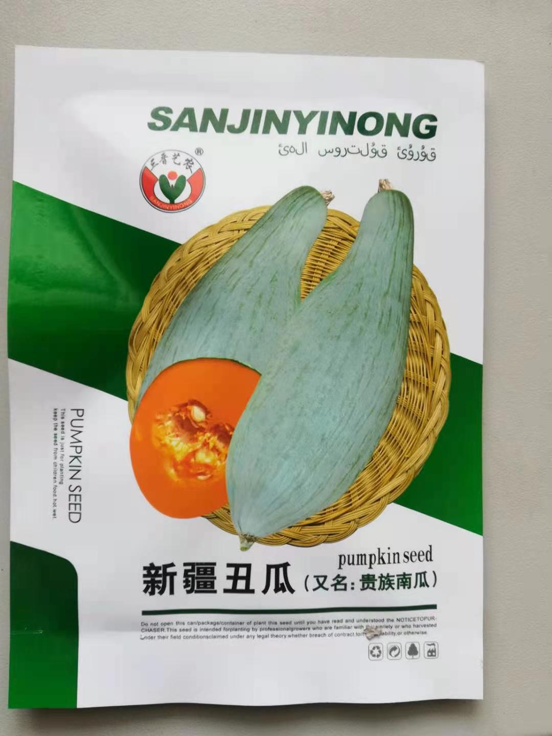 贵族南瓜种子  蜜瓜种子 香甜甘面的南瓜种子新品种