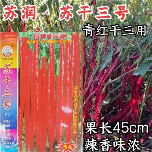 南昌苏润苏干三号辣椒种子，1000粒