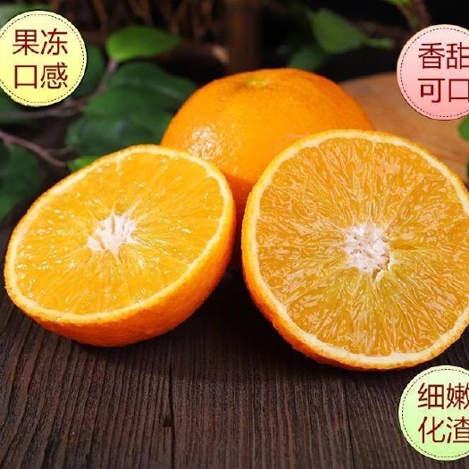 丹棱县爱媛果冻橙鲜嫩多汁，果园现摘现发