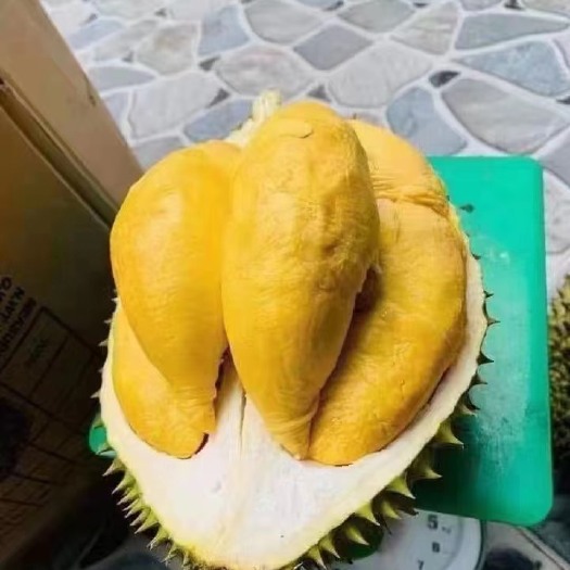 东兴市越南榴莲干尧