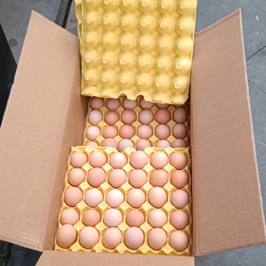 上海粉壳双色红心虫草鸡蛋！批发只发上海！