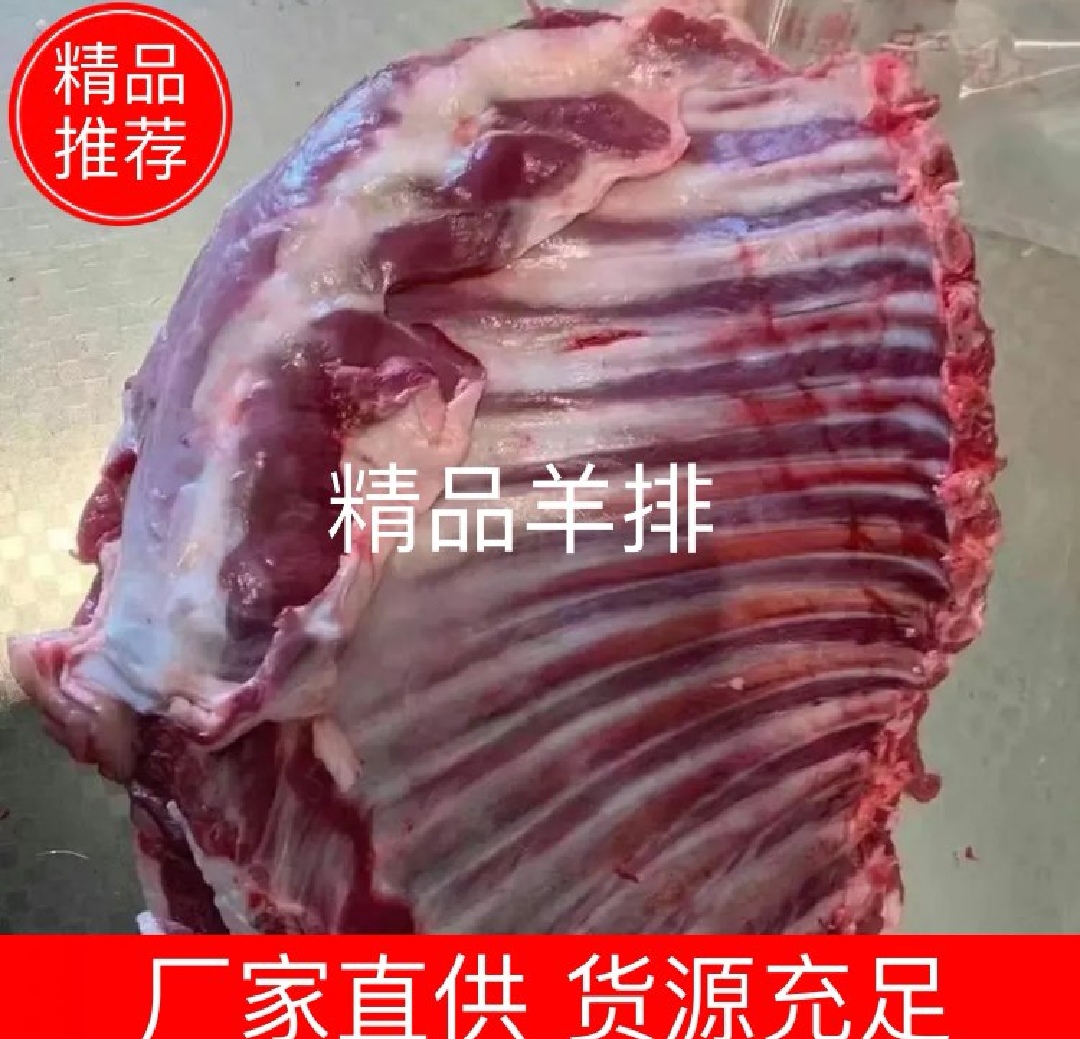 锡林浩特市新鲜羔羊排
