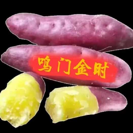 杞县鸣门金时，高端蜜薯，红薯，