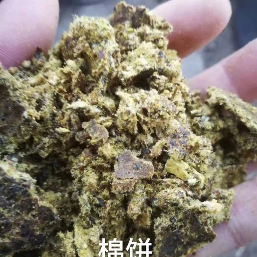 石家庄棉饼