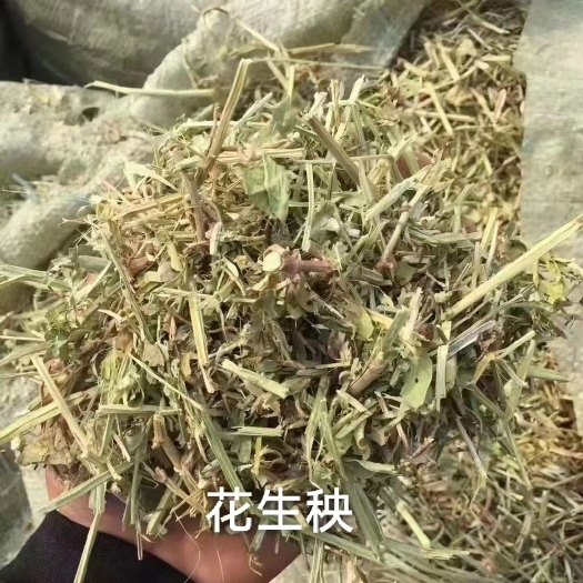 石家庄新花生秧