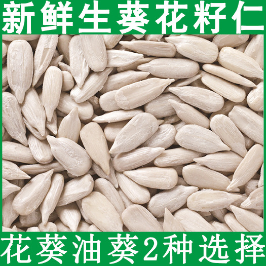 瓜子仁