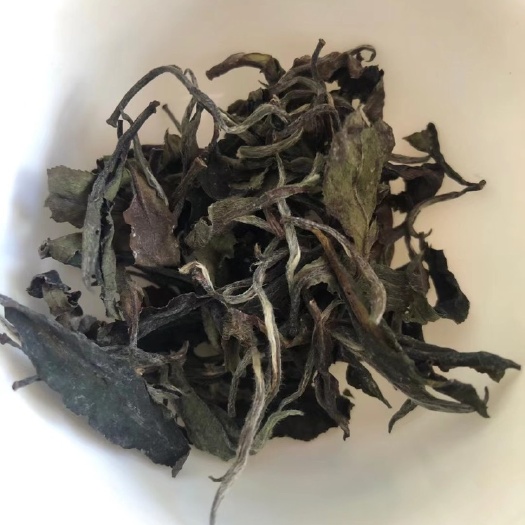 青岛白茶