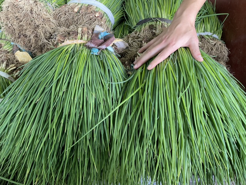 小葱，小香葱，农户直发，大量出货，有需请咨询！