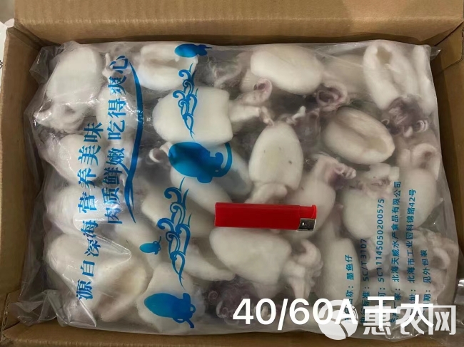 墨鱼仔冷冻海鲜水产  1件发货火锅食材专用 质量保证