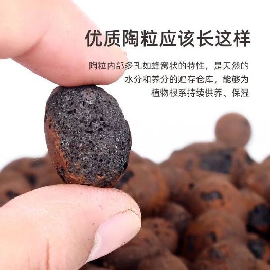 轻质陶粒  轻质陶粒