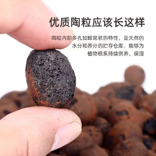 安远县轻质陶粒  轻质陶粒