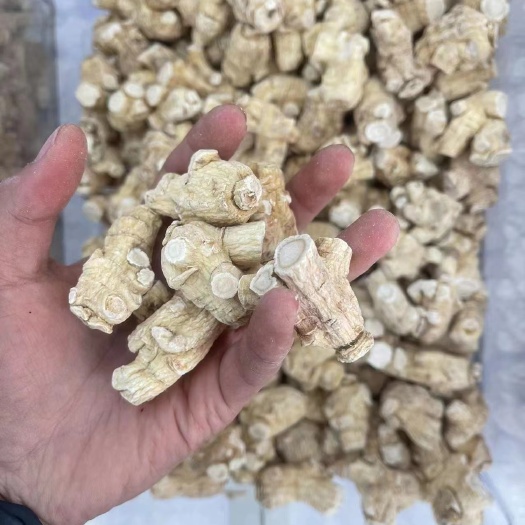 通化县西洋参干参单支3—5克