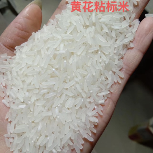 钟祥市黄花粘标米