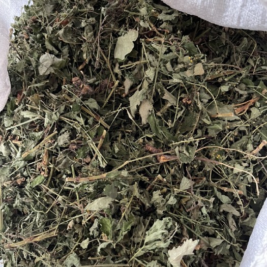 仙居县仙鹤草