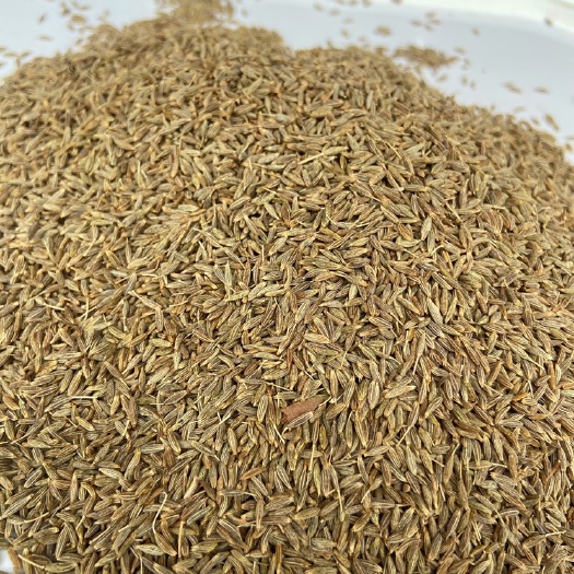 安国市孜然欧标孜然新疆孜然枯茗子