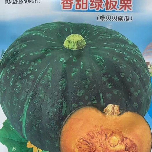 邵东市高产绿贝贝南瓜种子板栗小南瓜新品种甜面香糯春秋播蔬菜种子