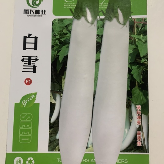 长沙【白茄子种子】白色长茄种籽白玉长茄白雪公主茄子种子白茄子种籽