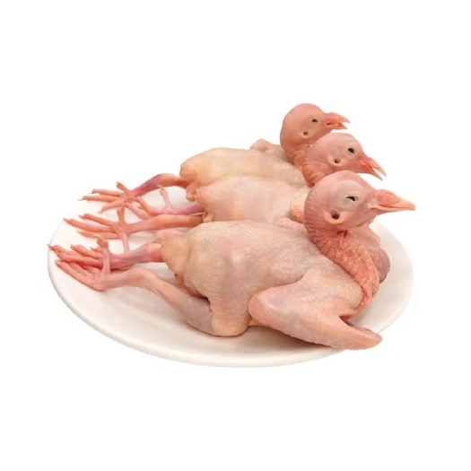 仁寿县肉鸽  自家鸽场产大只乳鸽
