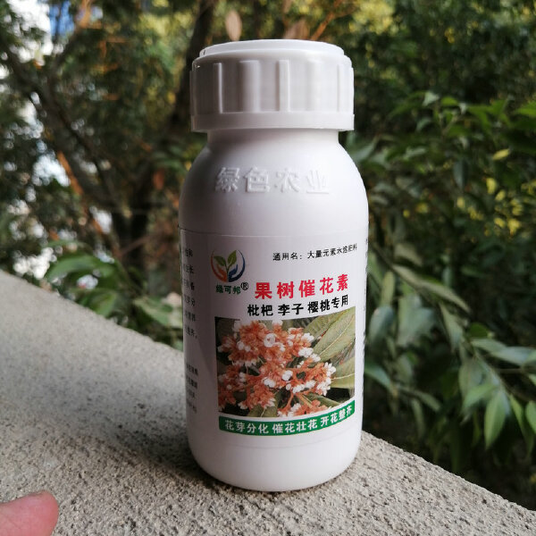 枇杷催花素三华李樱桃促花芽分化催花壮花开花整齐座果多