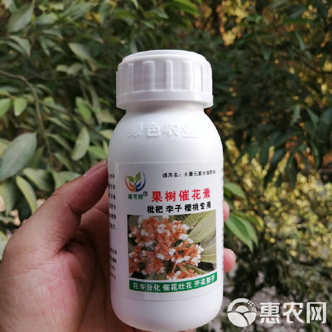 枇杷催花素三华李樱桃促花芽分化催花壮花开花整齐座果多