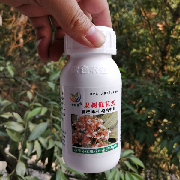 枇杷催花素三华李樱桃促花芽分化催花壮花开花整齐座果多