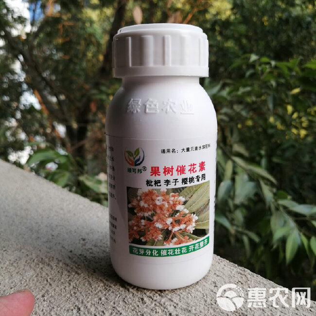 枇杷催花素三华李樱桃促花芽分化催花壮花开花整齐座果多