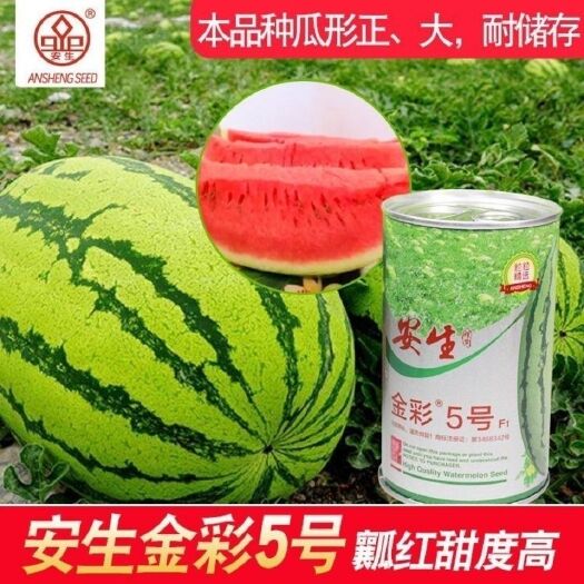 安生金彩5号西瓜种子硒砂瓜种子石缝瓜大果皮薄阳台甜红多汁