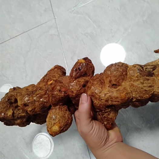 苍梧县土茯苓 鲜货 一手货源 梧州本地货 切不变色
