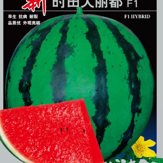 青县新时田大丽都西瓜种子早熟皮薄耐裂果形圆形700粒