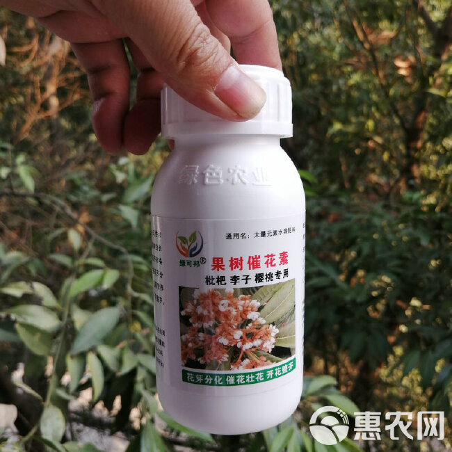 枇杷催花素三华李樱桃促花芽分化催花壮花开花整齐座果多