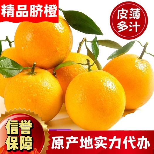 秭归县宜昌脐橙，自然环境得天独厚