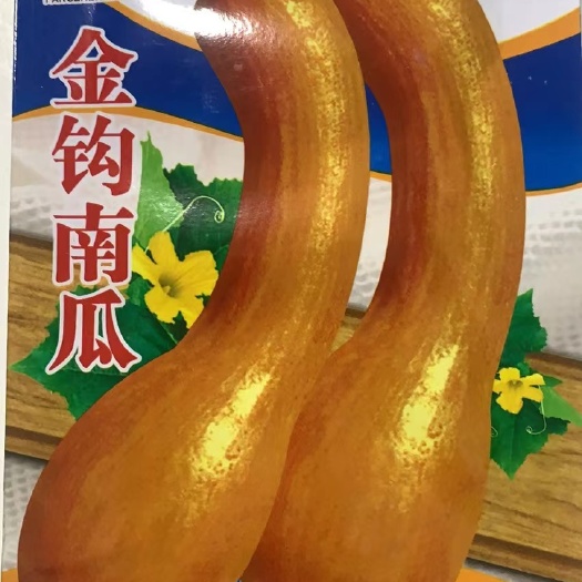 邵东市金钩南瓜种子高产南瓜种子香甜板栗味特大南瓜种子四季播蔬菜种子