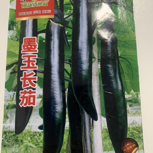 墨玉长茄种子紫黑色茄子特长高产早熟大棚菜园四季种植蔬菜籽