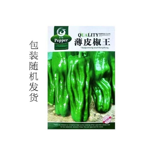 长沙早熟薄皮青椒种子四季播蔬菜种籽孑庭院大田阳台可盆栽皱皮辣椒籽