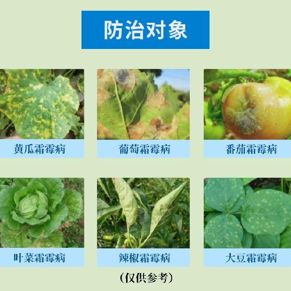 双解40%喹啉铜霜脲氰 霜霉病疫病杀菌剂蔬菜黄瓜番茄辣椒农药