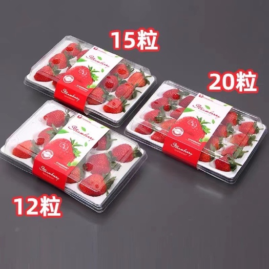 德昌县德昌露天奶油冬草莓，诚接各大市场，商超，美团多多，电商。