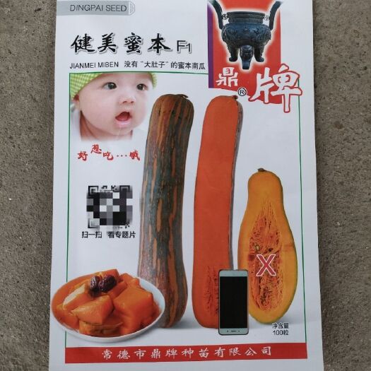 南昌鼎牌健美蜜本南瓜种子，100粒