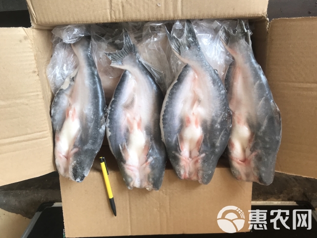 张光豪 小开背巴沙鱼12条*4.5kg