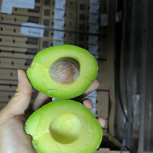 赣州即食牛油果