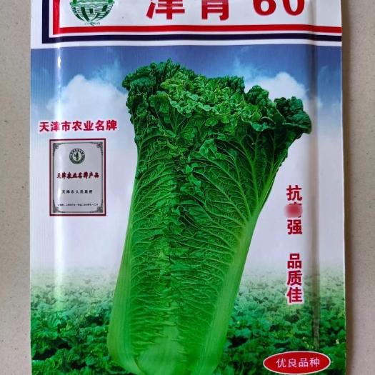 津青60青麻叶绿白菜种子 早熟耐热不烧心夏秋播菜园白菜籽冬储