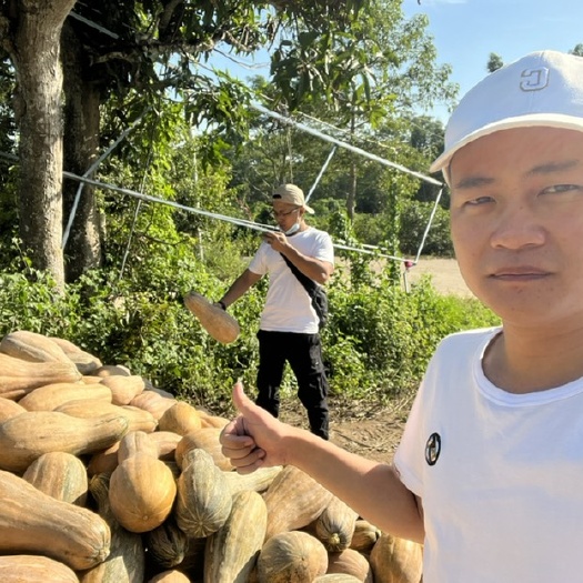 海南东方特产小南瓜