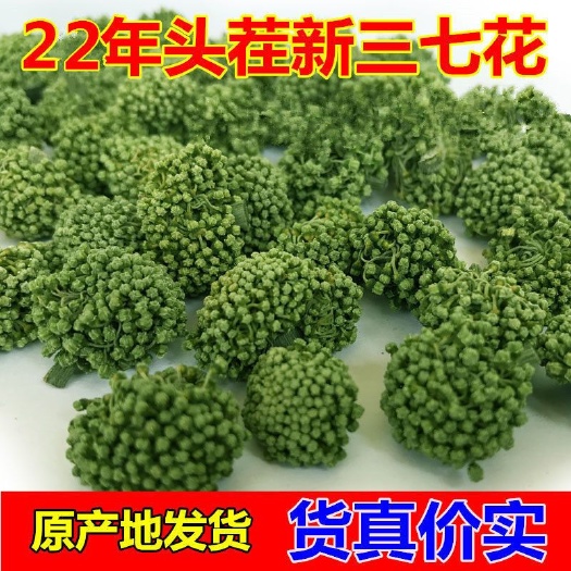 三七花 正宗云南文山三七花 新货批发